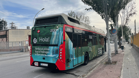Bus green hydrogen